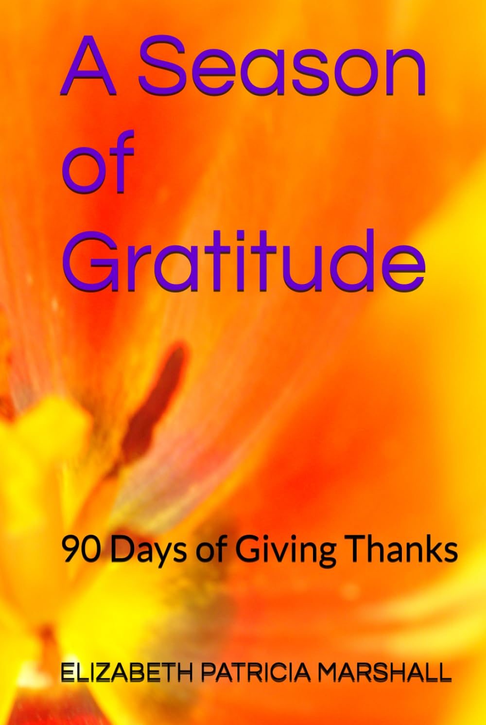 cover to a gratitude journal. Orange and yellow in color, title print in purple