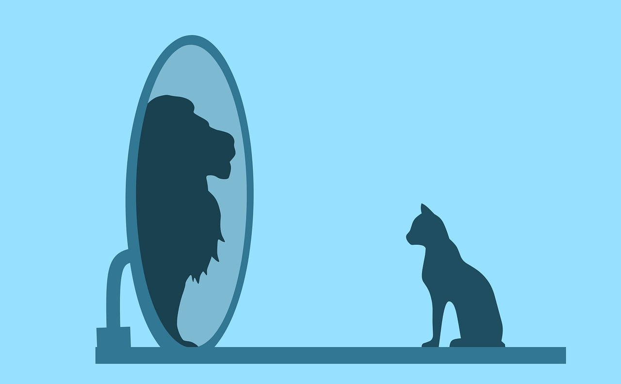 image of a black cat looking into a mirror and seeing a black lion, with a light blue background