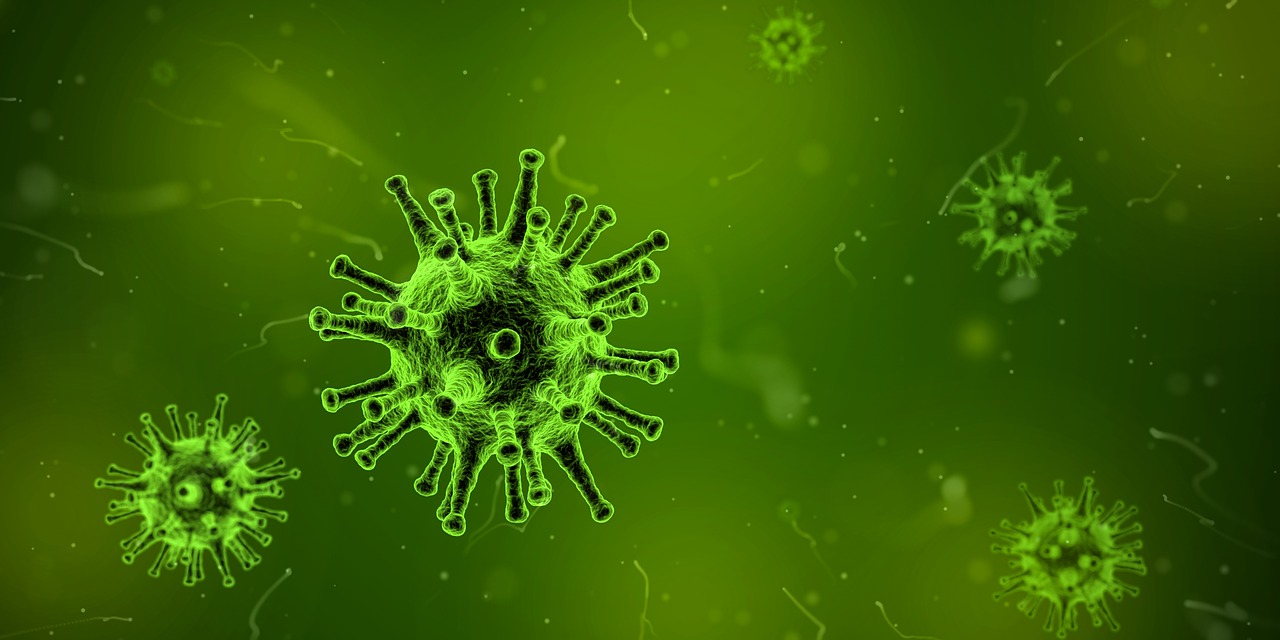 Green microscopic image of bacteria or similiar cellular representation. 