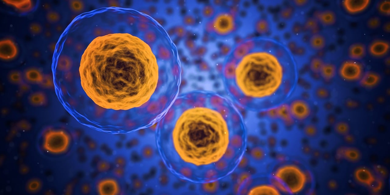 Orange cells amidst a blue and indigo background, reminiscent of a microscopic view. 